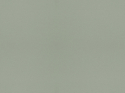 T14-青橄榄